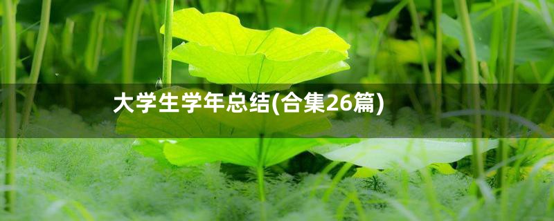 大学生学年总结(合集26篇)