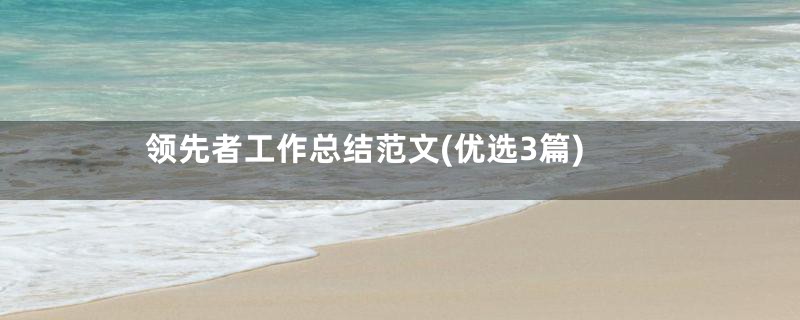 领先者工作总结范文(优选3篇)