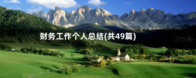 财务工作个人总结(共49篇)