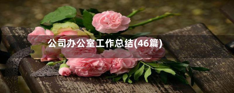 公司办公室工作总结(46篇)