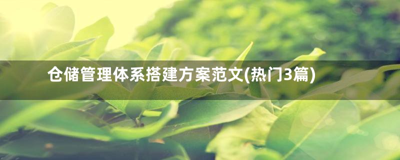 仓储管理体系搭建方案范文(热门3篇)