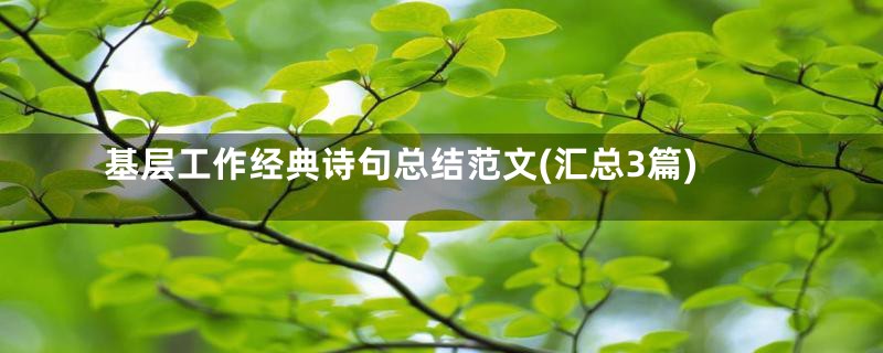 基层工作经典诗句总结范文(汇总3篇)