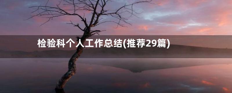 检验科个人工作总结(推荐29篇)