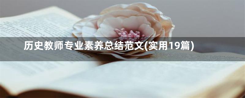 历史教师专业素养总结范文(实用19篇)
