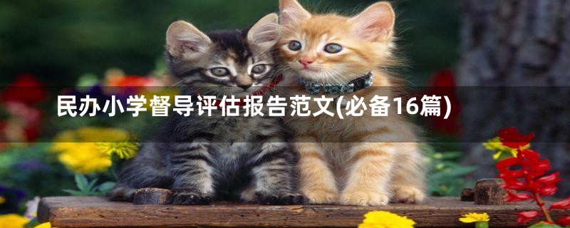 民办小学督导评估报告范文(必备16篇)