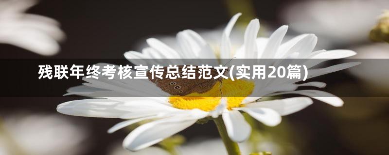 残联年终考核宣传总结范文(实用20篇)