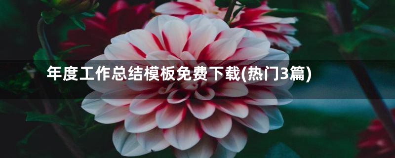 年度工作总结模板免费下载(热门3篇)
