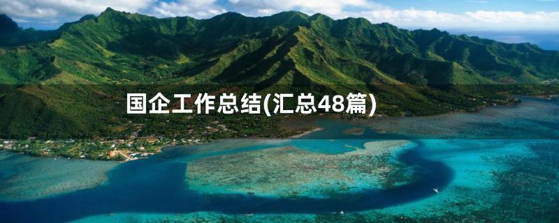国企工作总结(汇总48篇)