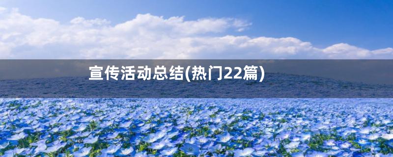 宣传活动总结(热门22篇)