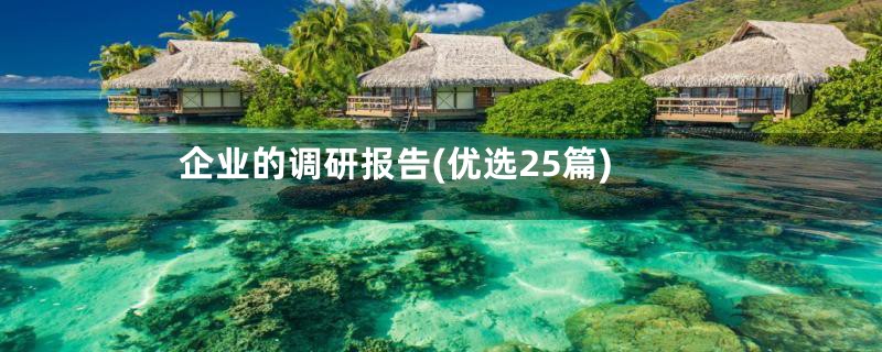 企业的调研报告(优选25篇)