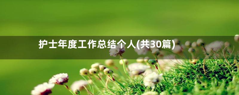 护士年度工作总结个人(共30篇)