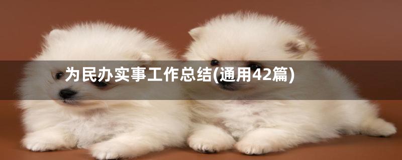 为民办实事工作总结(通用42篇)
