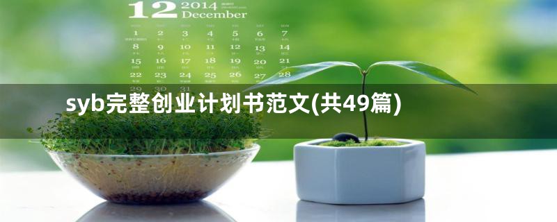 syb完整创业计划书范文(共49篇)