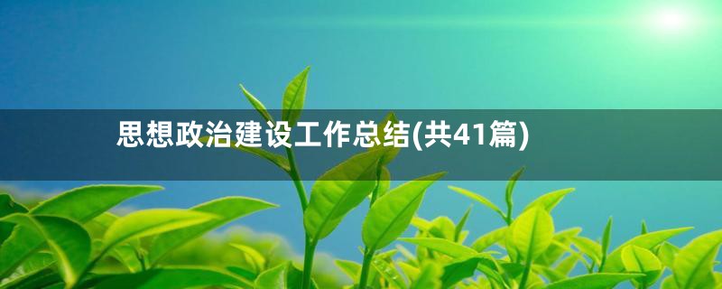 思想政治建设工作总结(共41篇)