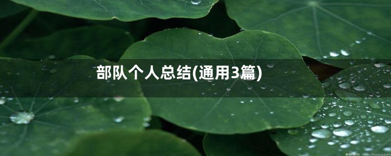 部队个人总结(通用3篇)