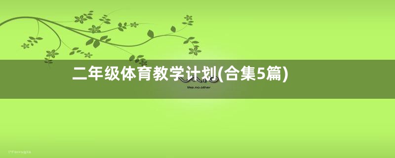 二年级体育教学计划(合集5篇)