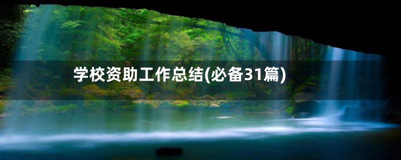学校资助工作总结(必备31篇)