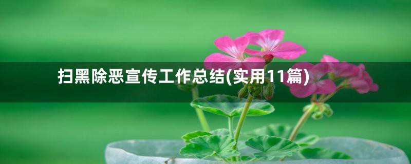 扫黑除恶宣传工作总结(实用11篇)