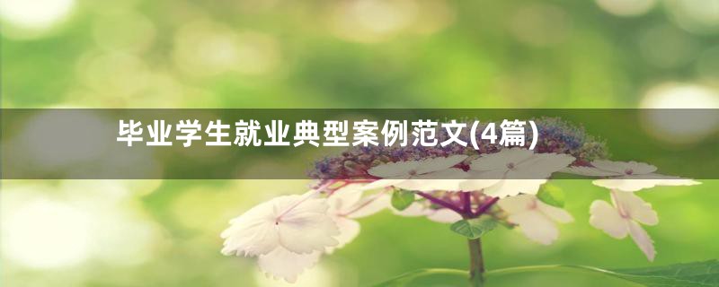 毕业学生就业典型案例范文(4篇)
