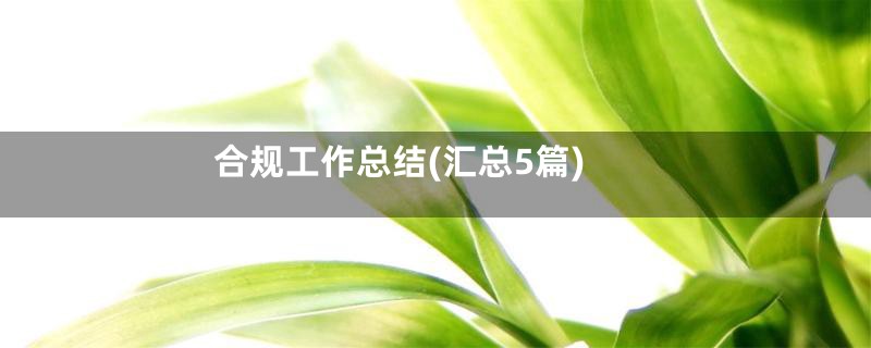 合规工作总结(汇总5篇)