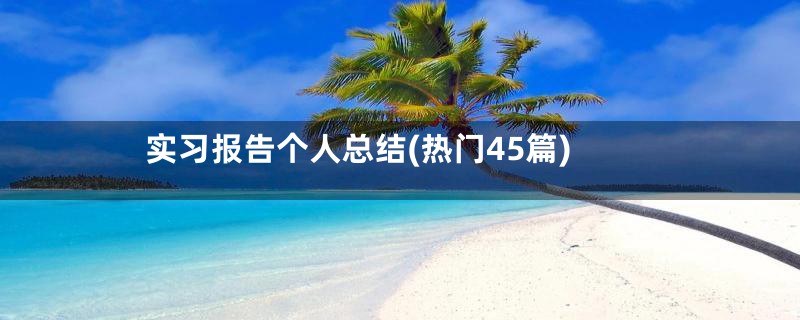 实习报告个人总结(热门45篇)