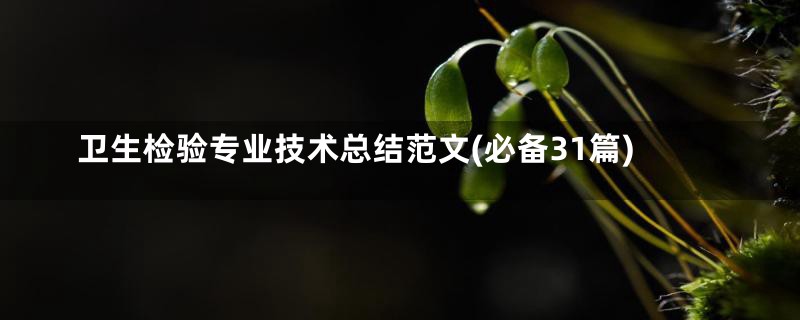 卫生检验专业技术总结范文(必备31篇)