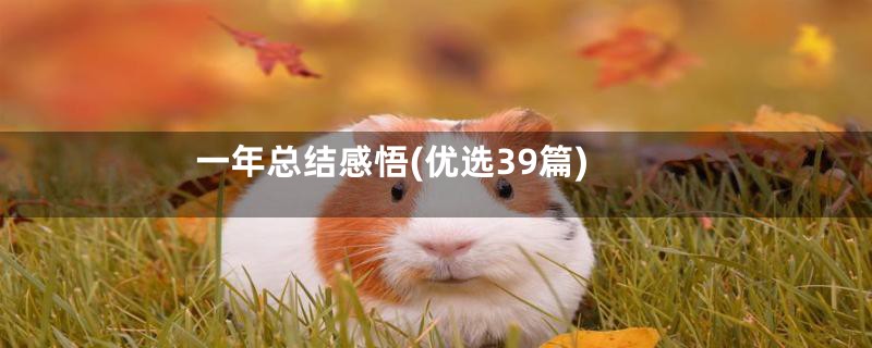 一年总结感悟(优选39篇)