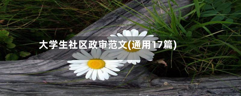 大学生社区政审范文(通用17篇)
