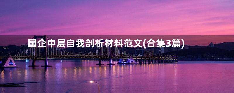 国企中层自我剖析材料范文(合集3篇)