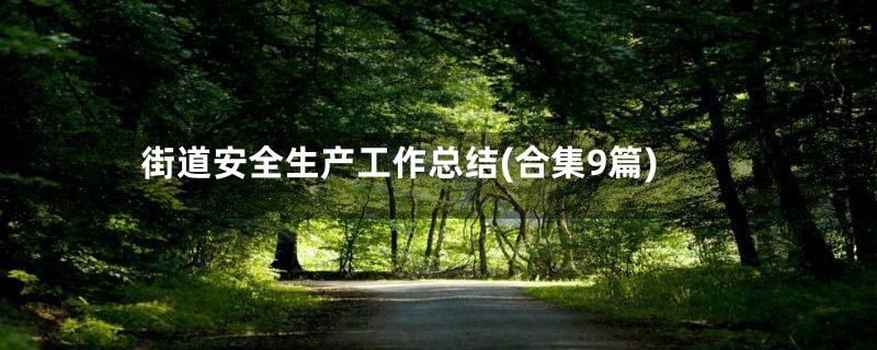 街道安全生产工作总结(合集9篇)