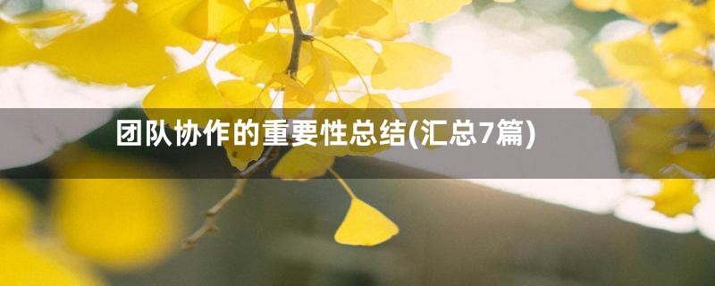 团队协作的重要性总结(汇总7篇)