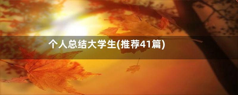 个人总结大学生(推荐41篇)