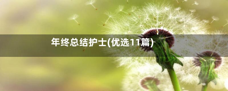 年终总结护士(优选11篇)