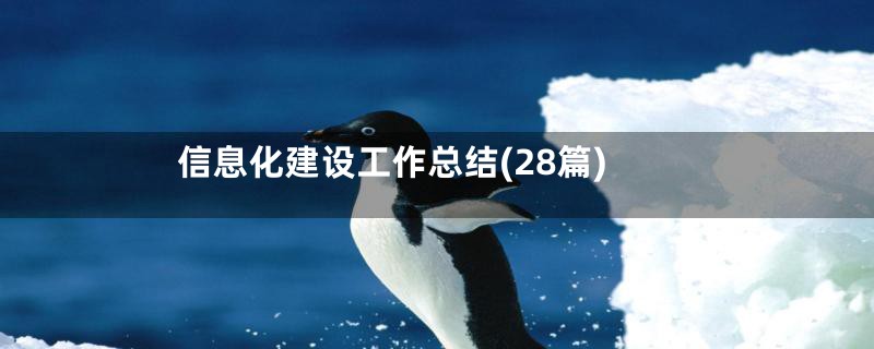 信息化建设工作总结(28篇)