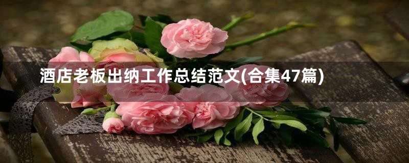 酒店老板出纳工作总结范文(合集47篇)
