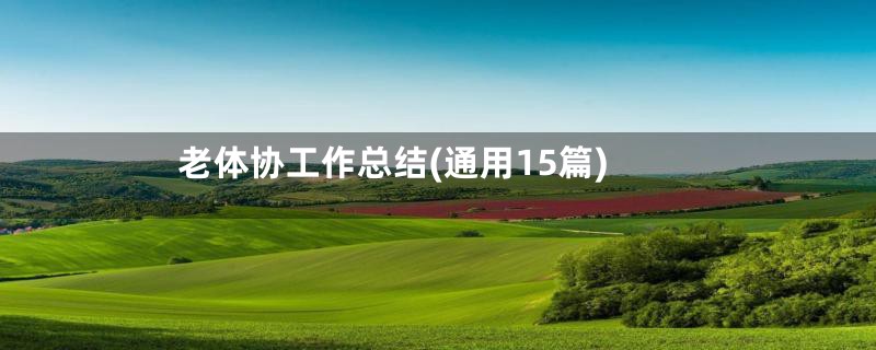 老体协工作总结(通用15篇)