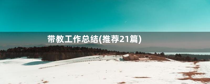带教工作总结(推荐21篇)