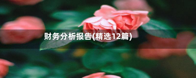 财务分析报告(精选12篇)