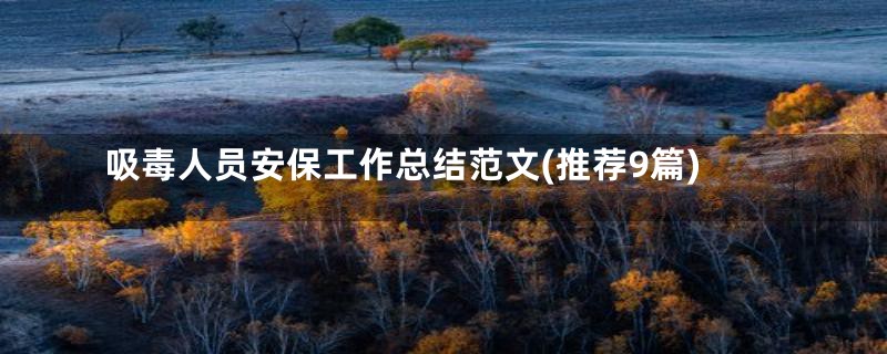 吸毒人员安保工作总结范文(推荐9篇)