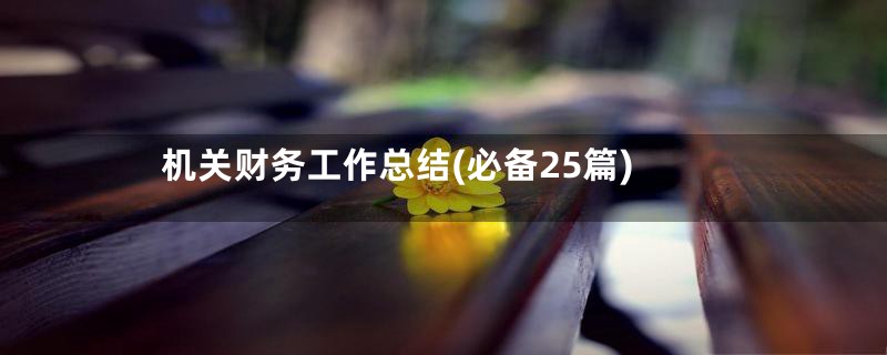 机关财务工作总结(必备25篇)