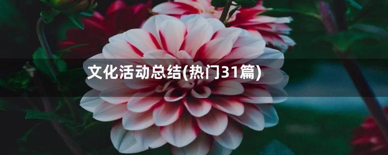 文化活动总结(热门31篇)