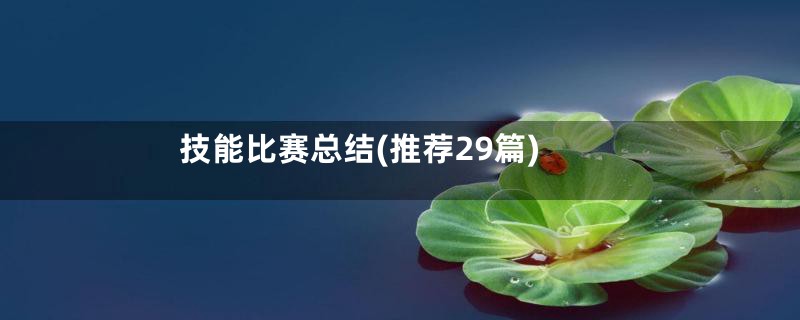 技能比赛总结(推荐29篇)