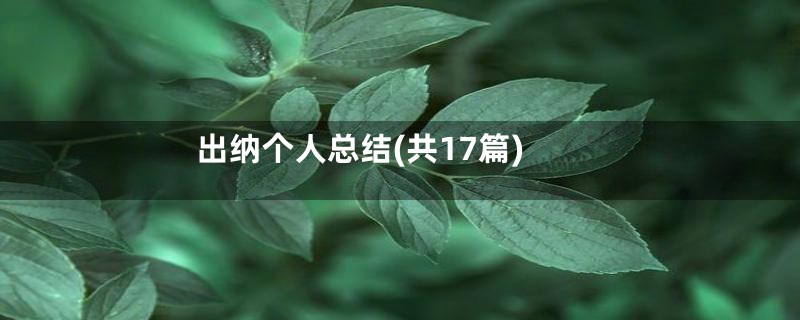 出纳个人总结(共17篇)