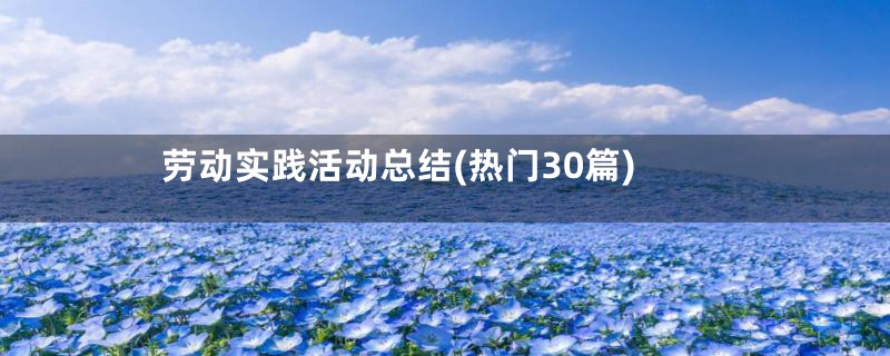 劳动实践活动总结(热门30篇)