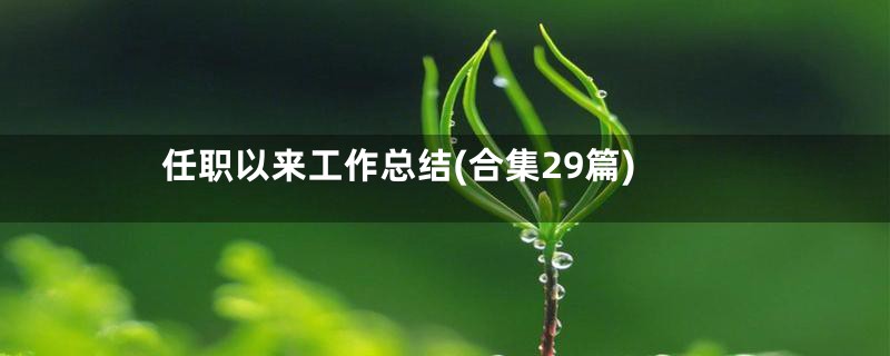 任职以来工作总结(合集29篇)