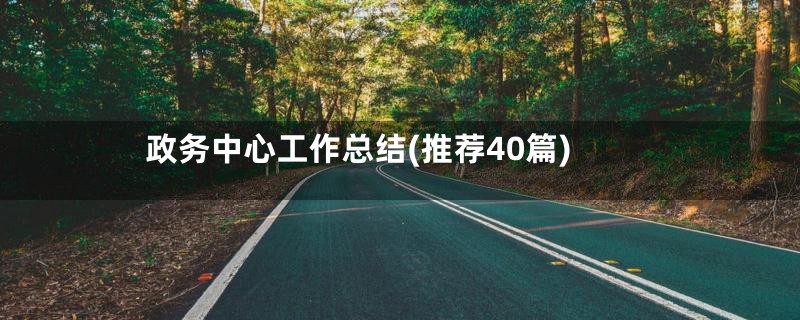 政务中心工作总结(推荐40篇)