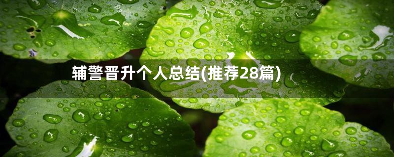 辅警晋升个人总结(推荐28篇)