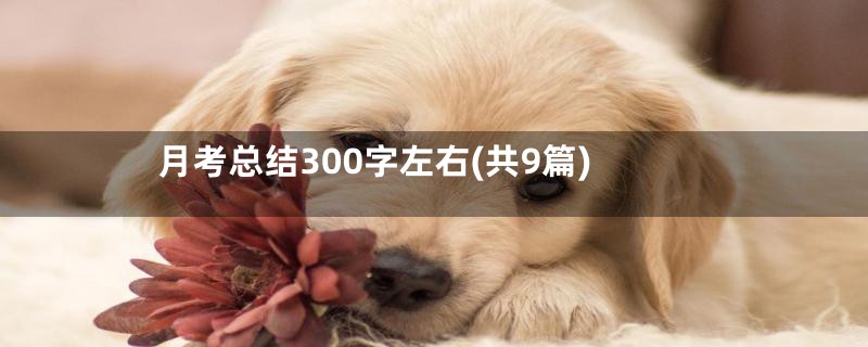 月考总结300字左右(共9篇)
