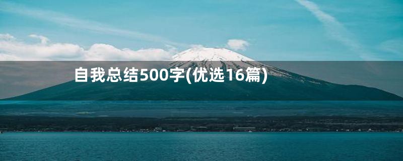 自我总结500字(优选16篇)