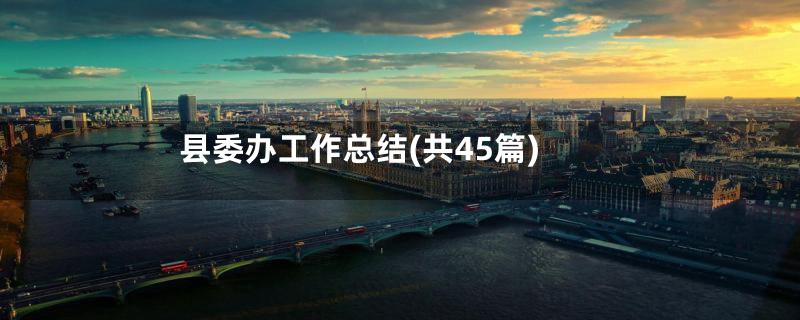 县委办工作总结(共45篇)